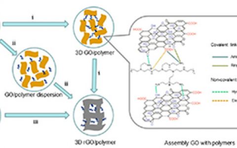 ACS Nano最新综述:石墨烯与聚合物的碰撞