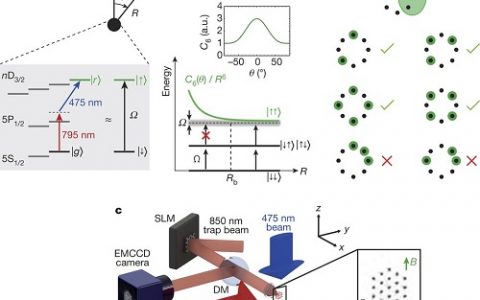Nature:单里德伯原子的可调节二维排列实现量子伊辛模型