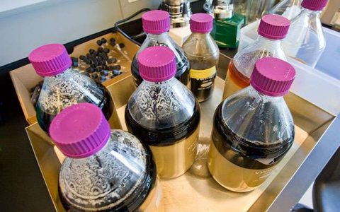 CO2——生产生物燃料的银色子弹