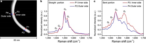 12 nanoletter5