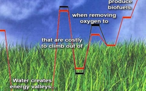 消除水分子的阻碍 遇见更好的生物燃料