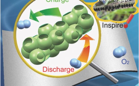 Advanced Materials：6月材料前沿十大精选科研成果（国内）