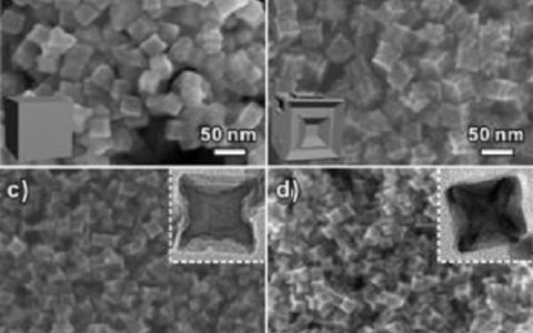 Angewandte最新报道:厦门大学制备出具有优异电化学活性的超薄纳米片构成立方型锡铂纳米晶体
