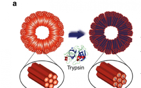 学术干货 | 从nature等顶级期刊看纳米空心球结构