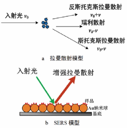 6 拉曼散射及SERS模型示意图