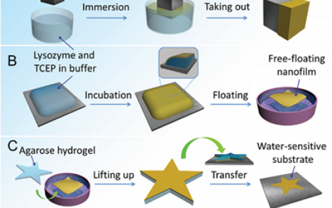 顶刊动态 | AM/JACS/ACS Nano等纳米材料学术进展汇总(一)【160703期】
