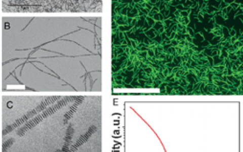顶刊动态 | AM/JACS/ACS Nano等纳米材料学术进展汇总(二)【160703期】