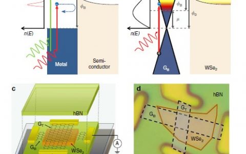 顶刊动态丨Science/Nature子刊/AM等期刊电子材料学术进展汇总(电子周报160726 期)(一)