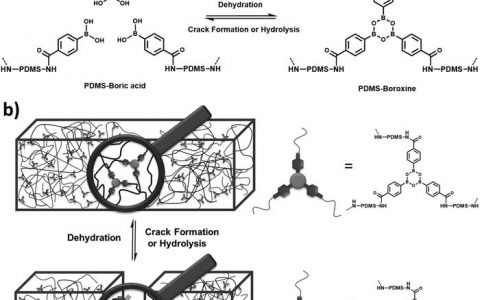 Adv. Mater. 一种基于环硼氧烷动态共价键的刚性可修复聚合物