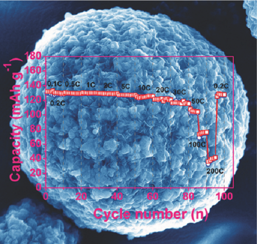 fig6