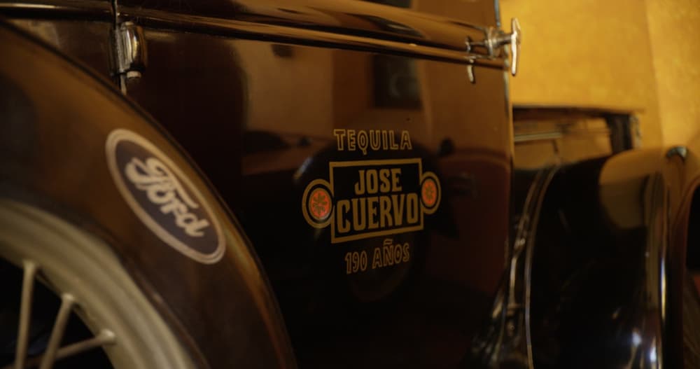 ford-cuervo-agave-plastic-3