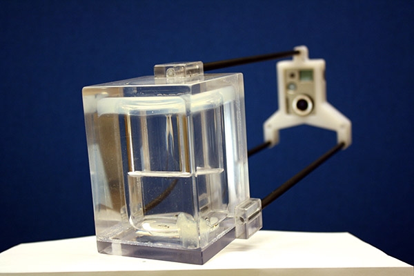 how-does-water-behave-in-space