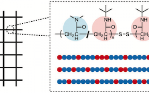 顶刊动态| Angewandte Chemie/Macromolecules高分子材料学术进展汇总【20160706期】