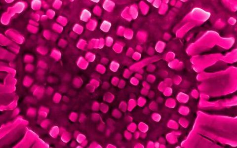 高熵合金新进展：将废热转化为电的新渠道!