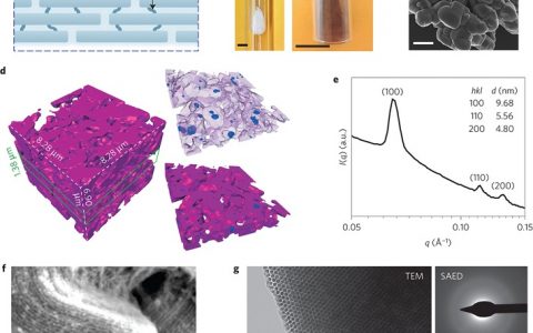 Nature Materials:芝加哥大学研发具有介观结构的异质性硅基生物材料