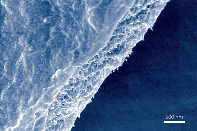 不做衣裳做滤膜:蚕丝变身理想过滤材料