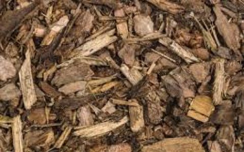 利用木质素生产琥珀酸——更快，更省，更“友好”