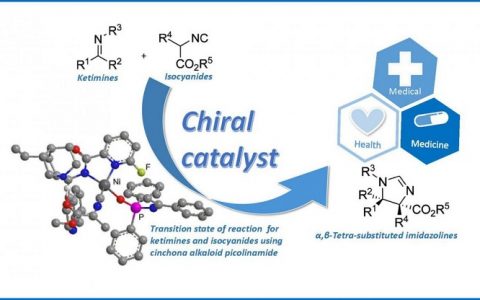 研究人员成功合成具有生物性和催化活性的手性分子