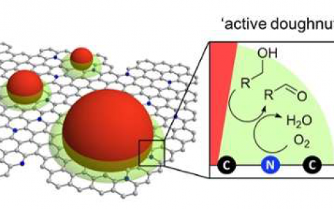 新一代高效催化剂——活跃“甜甜圈”