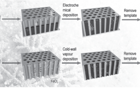 Adv. Mater. 下一代气体传感器 高取向性的聚吡咯纳米管