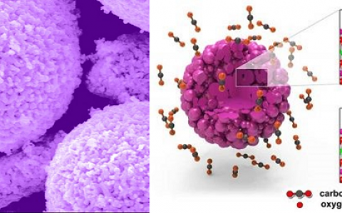 激发氧活力,增强电池动力