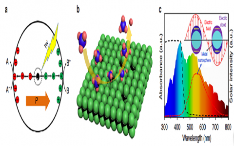 Nat.Commun. 福建物构所-银修饰纳米氧化锌 光催化氧化甲烷