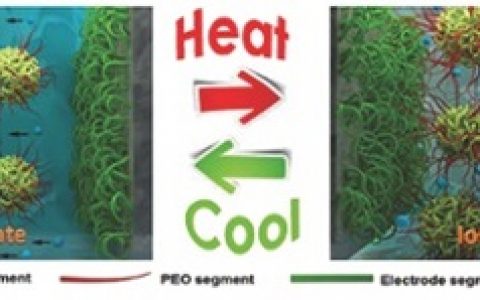 Adv. Mater. 热塑性弹性体智能温敏电解质 助力电化学储能器件过热保护