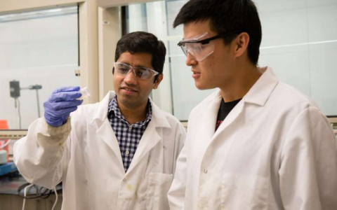 “化腐朽为神奇”——被淘汰的树木能变成汽车零件？