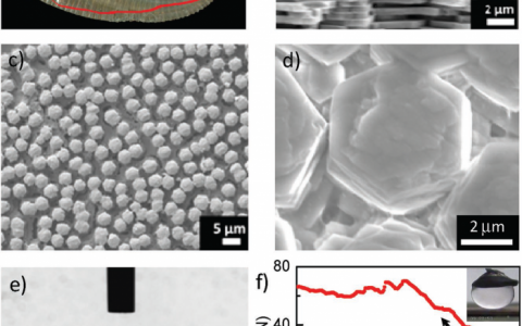 Adv. Mater. 北航:受柱状珍珠层启发的水下抗油性材料