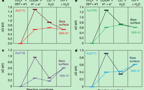 Nature:惊呆了!电场也能加速电催化CO2还原