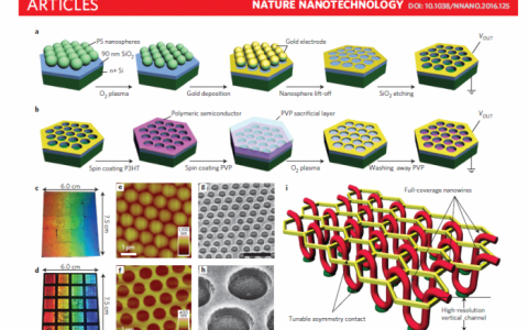 Nat. Nanotech. 用于超分子纳米线光电器件的纳米筛支架