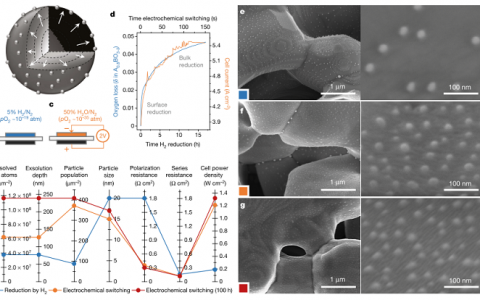 Nature:电极电催化活性的极大提升砸开了固体氧化物电池应用枷锁