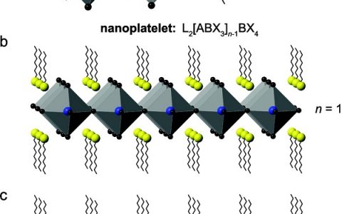 顶刊动态 | Nature子刊/AM/JACS等纳米材料最新科研成果精选【第17期】