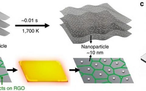 顶刊动态 | Nature子刊/JACS/Nano Lett.等纳米材料最新科研成果精选【第18期】
