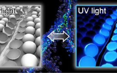 材料中的“算命先生”——新方法预知材料缺陷
