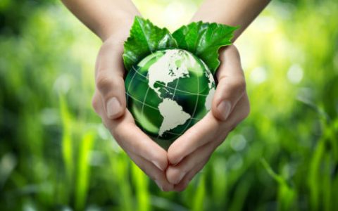 人工树叶:将二氧化碳变回燃料