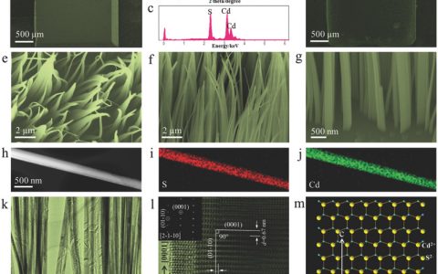 顶刊动态 | Nature子刊/AM/Angew/Nano Lett.等纳米材料最新学术进展汇总【第13期】