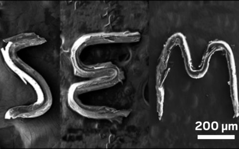 连耿直的有机晶体也能弯了