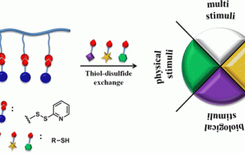 顶刊动态 | Angew/Macromolecules等高分子材料前沿最新科研成果精选【第17期】