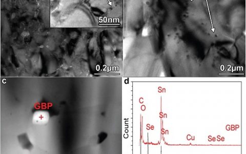 Adv. Funct. Mater. 南方科技大学在高性能钾掺杂多晶SnSe极低热导率中的研究