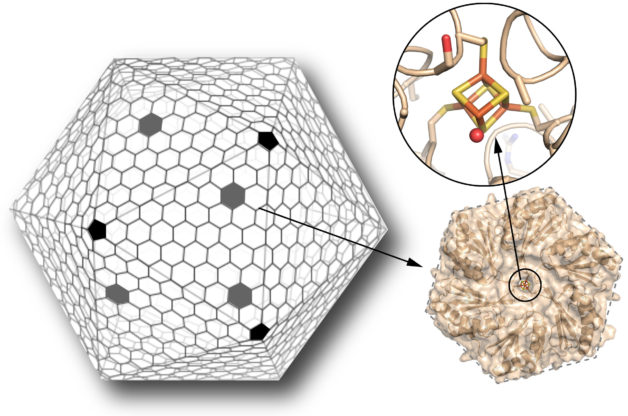 4-JACS-Press-release_ca-628x416