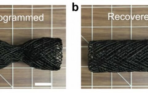 为增材制造多加一个维度——“4D打印”