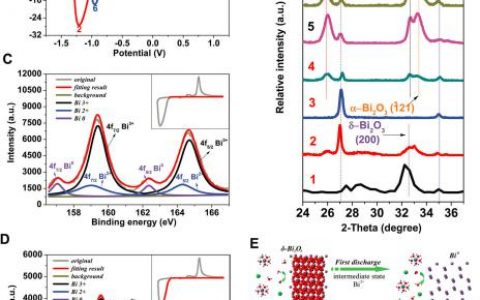 武汉理工大学-Bi2O3: 水系金属离子电池电极材料