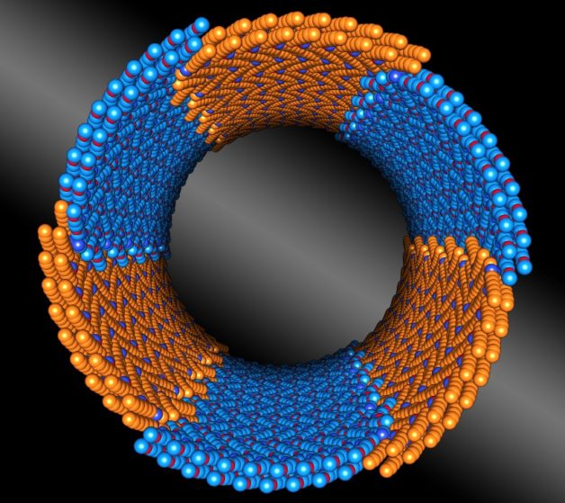 5-peptoid-nanotube-cropped-628x559