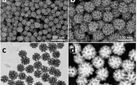材料人评论 | 多孔金属纳米粒子,金属纳米材料未来的一种可能?