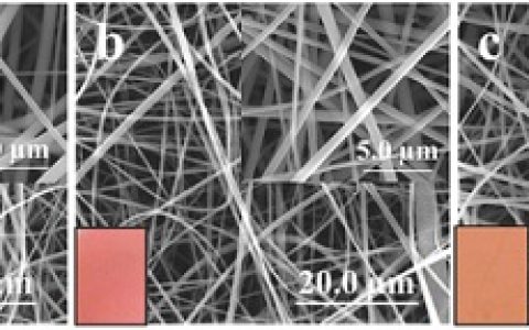 顶刊动态 | Nature子刊/AM/Nano Letters等纳米材料最新学术进展汇总【第11期】