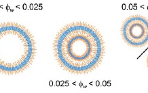 顶刊动态 | 纳米材料前沿最新科研成果精选【第15期】