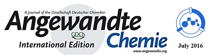 Angew-July 2016 cover