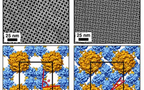 性能奇特的可弯曲蛋白质晶体！