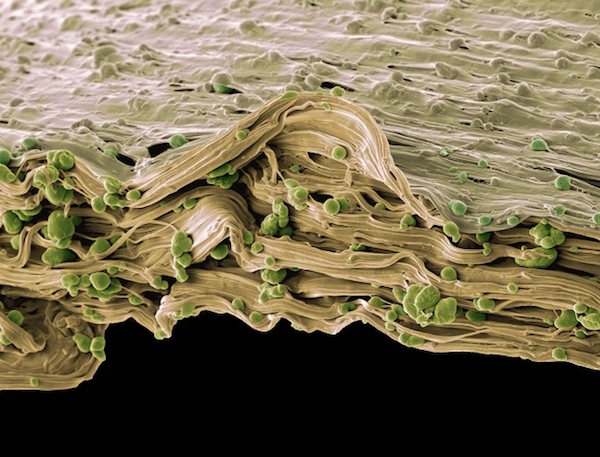 C0216999-Biodegradable_WEB